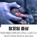 장이 꼬였을때 장꼬임 증상 : 배와 장이 꼬이는 느낌이 들 때 해결책 이미지