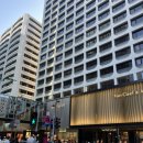 로지 | 홍콩 침사추이 맛집 추천 베이징덕 딤섬 맛집 킹스로지 내돈내산 후기