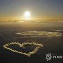 토종약초사랑