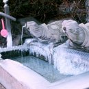 식현1리 이미지