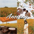 (주)안성목장 | 가을 데이트·가족 나들이 추천 안성 팜랜드 솔직 후기 | 임산부 할인·이벤트·주차·가격·식당·인생...