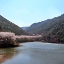 봄나들이 미술관투어 이미지