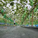 민재농장 이미지