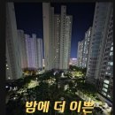 디오션시티푸르지오 208동 앞2 | 군산푸르지오 30평 급매 3.15억 (208동 10층) 소나무뷰 / 여성 1인 거주 / 깔끔한 컨디션