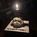 몽니크 | [일산 마두] 강아지 생일 수제 케이크 예약 / 주문 제작 후기