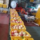 병준농장 이미지