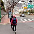 해운중학교  로터리 이미지