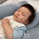 (주)성광티시엠 | 아기 모기 30군데는 물린것같아요 병원다녀온 후기(물집, 상처 맴찢)