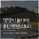 꾸러기 펫 | 🐶용인 애견카페_천연잔디 가득한 펫앤스토리, 대만족 후기!