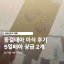 눈사람 | 신설마리아 시험관 동결배아 2개 이식(눈사람배아) 당일 후기