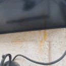 서도티에스 이미지