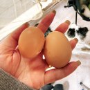 블루라군 | 횡성 노섬브리아 캠핑장 블루라군 사이트 명당 후기 개별 냉장고 시설까지 완벽한 힐링