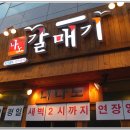 나노갈매기 이미지