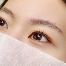 다율교차로 | 눈매맞춤시술 [루브 파주운정점] 다율동속눈썹펌 시술 후기 및 데일리 뷰티숍 방문기