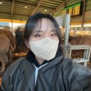 고결한우