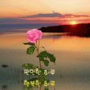 행복한 이미지