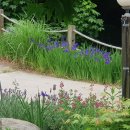 들꽃나라농장 이미지