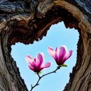 하루농장 이미지