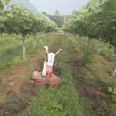 우혁농장 이미지