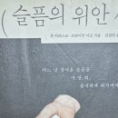 슬픔의 위안 / 론 마라스코 ㆍ브라이언 셔프 이미지