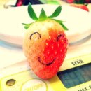 청년모종 이미지