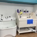 견생의하루 펫살롱 일산본점 이미지