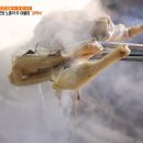 거북이민박 이미지