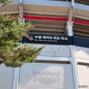 수원 KT위즈파크 1루 응원지정석 114구역 3열 시야 직관 후기