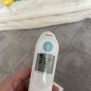 곱식당, 수인네일스터디, 고래맥주창고, 지천통나무집, 라테라스101, 츠츠, 대구 파인다이닝 셀리우 후기)