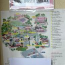 뽀빠이포토 | 허브아일랜드 핑크뮬리축제_:) 온 세상이 핑크빛~ 핑크 세상!! 핑크모래 핑크모래썰매 핑크뮬리 포토스팟