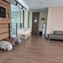 문소아청소년과의원 | 송파소아과추천 포유문소아청소년과 4개월 예방접종 후기