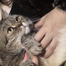 867기 1대대 020918 신민권 이미지