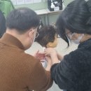 이용사 자격증 이미지
