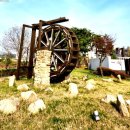 동탄까치공인중개사사무소 이미지