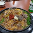양청골흑염소