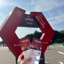 필드] 키움전 직관 / 1루 홈런커플존 B열 시야 및 후기 / 문학경기장 주차 정보 / 크림새우, 허갈닭강정...