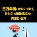 트라우마! 이미지
