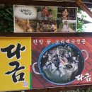 다금식당