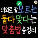 이렇게 써도 맞는 말~! 새로 추가된 표준어 총정리 이미지