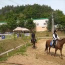승마장 이미지
