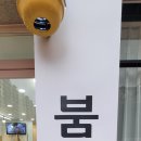 더붐헤어샵