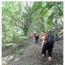 자일서청주정비(주) | 보은 구병산 암봉산행('11. 6. 11) 산림청 백대명산