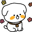 은천동-20 이미지