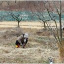 기태농장 이미지