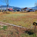 대저캠핑장 이미지