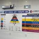 슈퍼스타스위밍영종