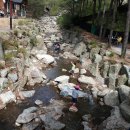 용인자연휴양림1 이미지