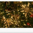 함사람지역아동센터 이미지