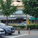 이서동물병원 이미지