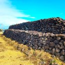 온평환해장성 이미지